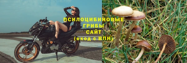 мдпв Шарыпово
