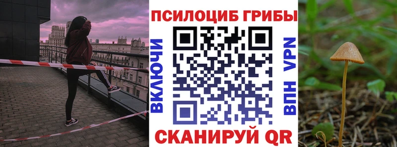 МЕГА как зайти  Хилок  Псилоцибиновые грибы GOLDEN TEACHER 